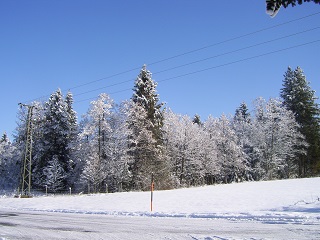 Foto vom Winter 2015/2016